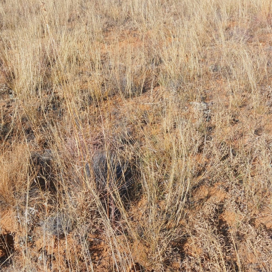 Commercial Property for Sale in Reivilo Northern Cape